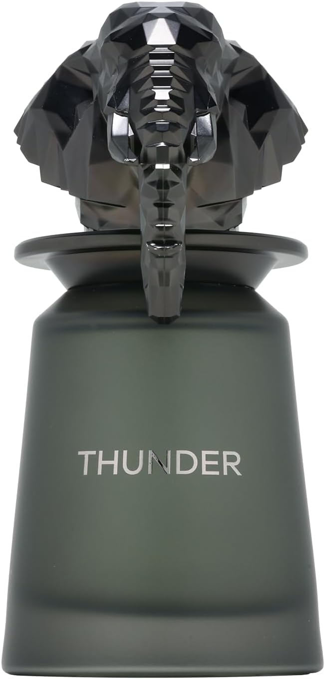 Thunder (Np673) Edp 100Ml